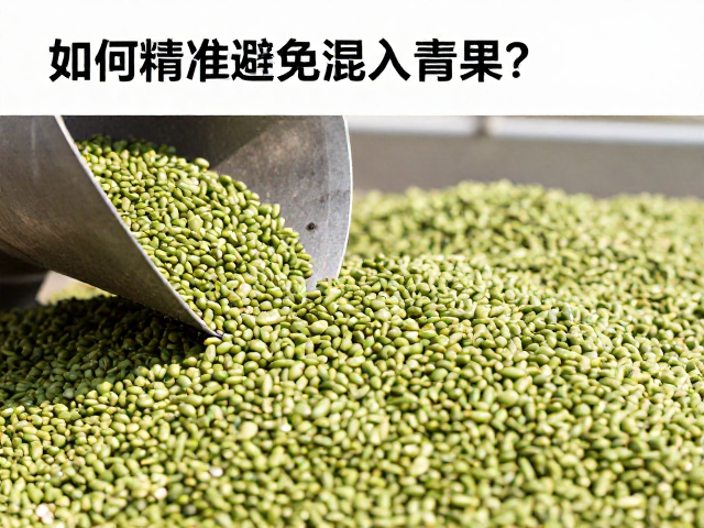 采收后处理与二次筛选质量控制