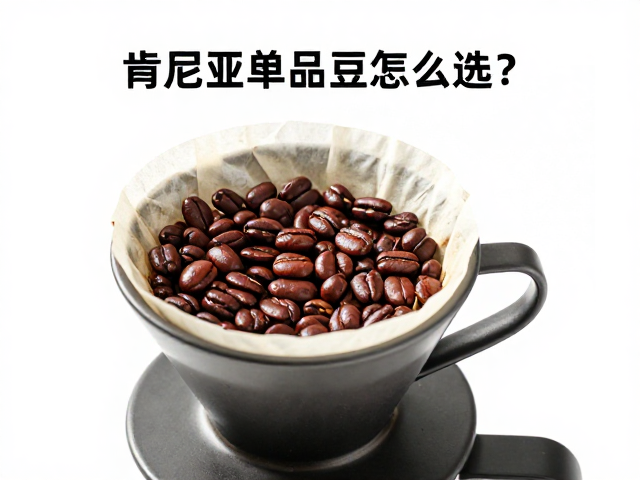 冲煮参数:激发甜感的物理杠杆