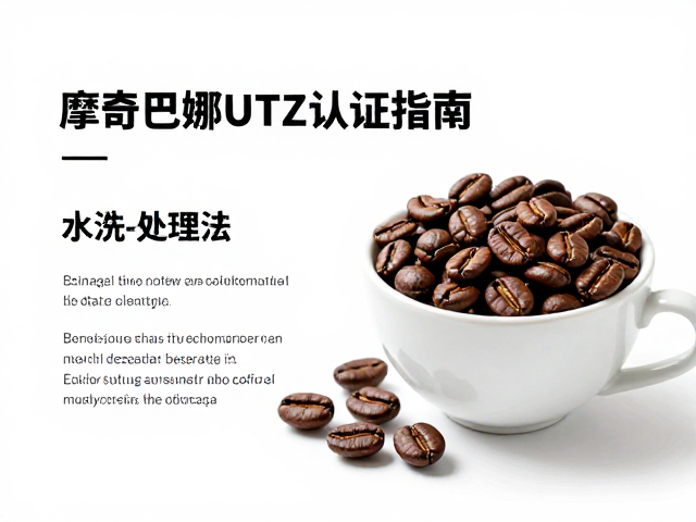 水洗处理法:洁净口感与明亮酸质的平衡艺术