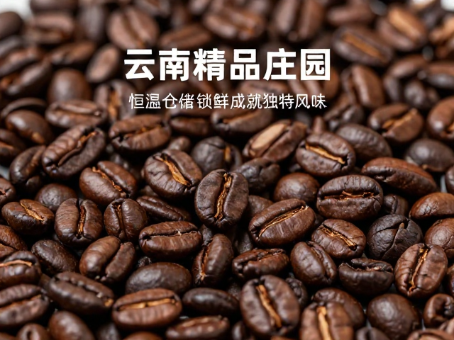独特风味特征与感官表现