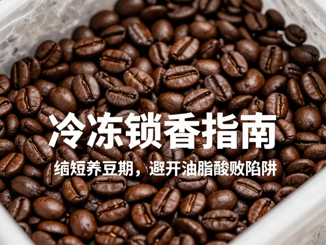 冷冻环境对咖啡豆活性物质的干预机制