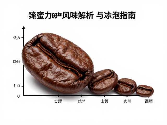 蜜处理工艺对咖啡豆内部结构的改变