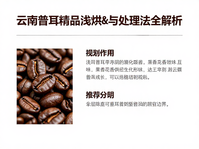 云南普洱精品浅烘豆，果香花香风味与处理法全解析