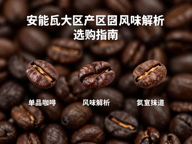经典风味图谱与感官体验解析