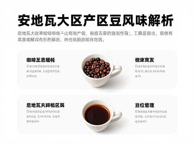 家庭冲泡建议与风味激发技巧