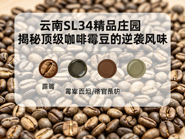 霉豆形成的成因与感官影响解析