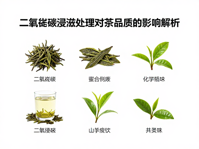 二氧化碳浸渍对茶叶化学成分的重构机制