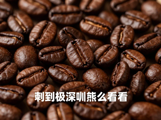 标签信息的解读逻辑与常见误区