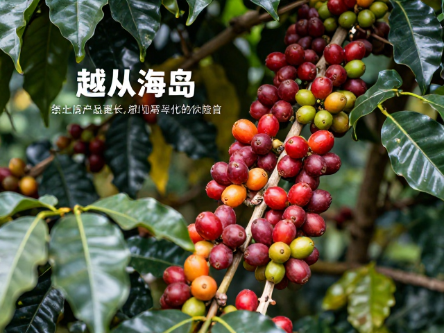 市场认知与产区差异化价值的体现