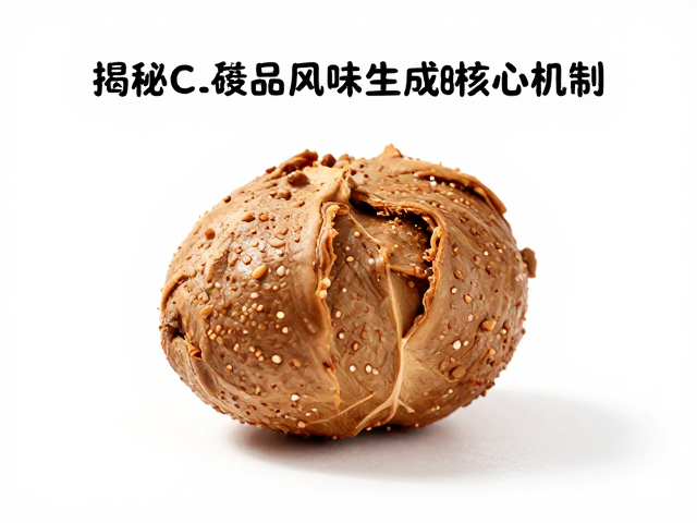 工艺参数对反应路径的调控