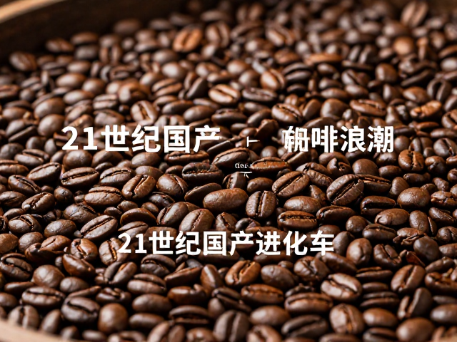 数字化赋能与精品标准的本土化确立