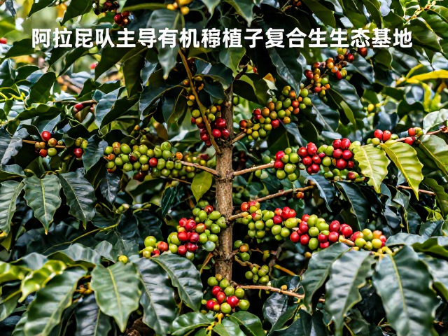 有机认证与可追溯性的实施细节