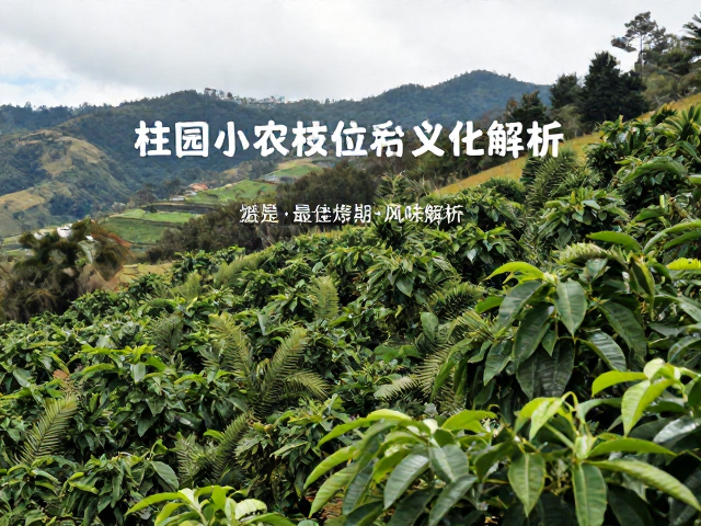 哥伦比亚安第斯山区小农合作社的种植生态