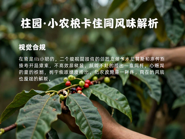 精密处理工艺对风味基底的塑造