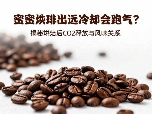 烘焙结束后的排气现象与物理机制