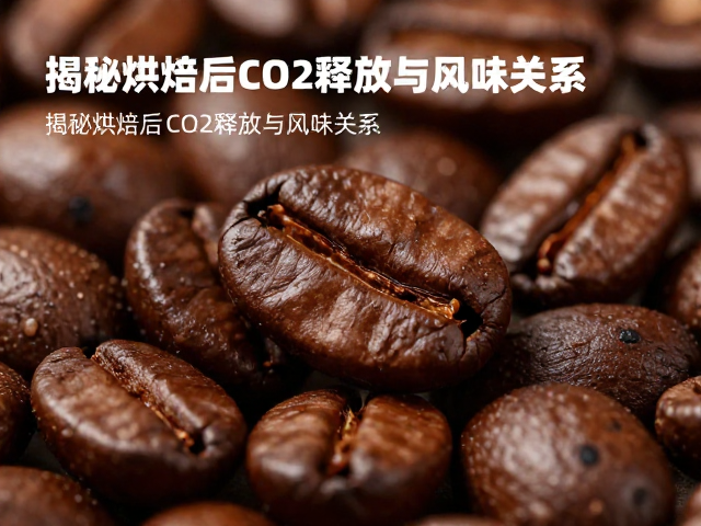 CO2释放周期对风味物质的锁定作用