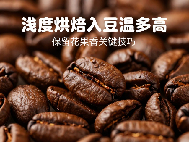 脱水期至转黄期的温度与时间控制