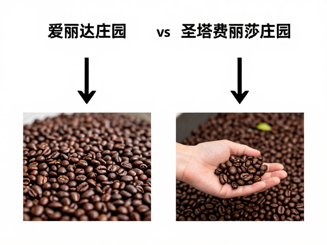 厌氧发酵的底层逻辑与风味转化机制