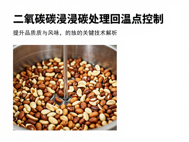二氧化碳浸渍工艺的热力学基础与相变特征