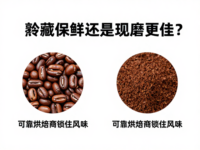 科学储存与现磨的最佳实践
