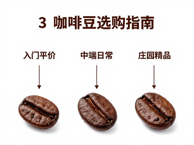 中端日常款：平衡感与产地特性的折中之选