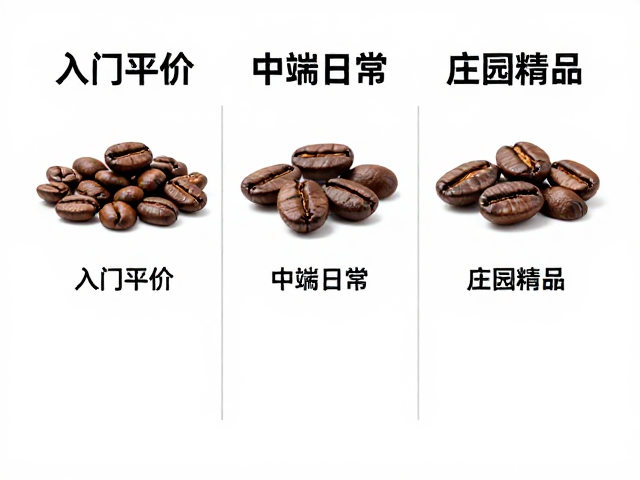 入门平价、中端日常、庄园精品，3档咖啡豆选购指南与避坑攻略