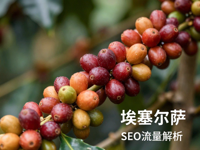 越南高海拔埃塞尔萨咖啡豆,独特风味与SEO流量解析