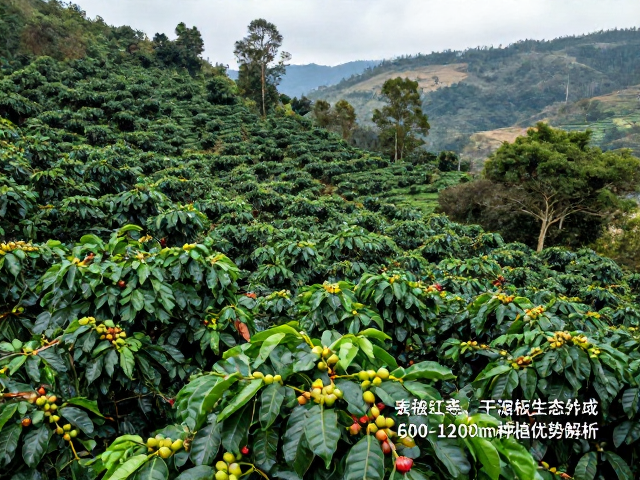 生物多样性对微生态平衡的自然调控