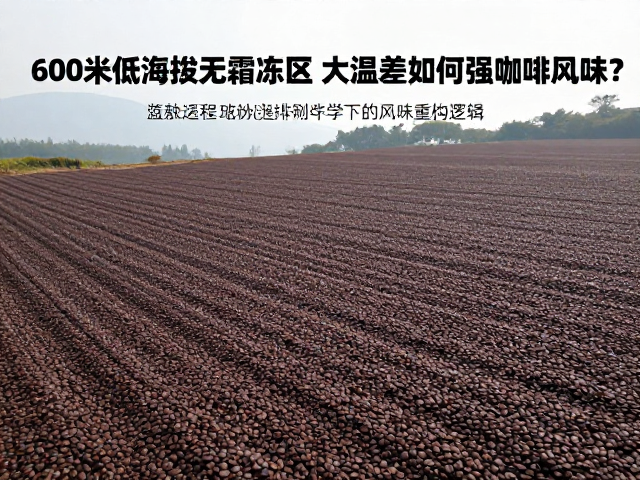 烘焙科学下的风味重构逻辑