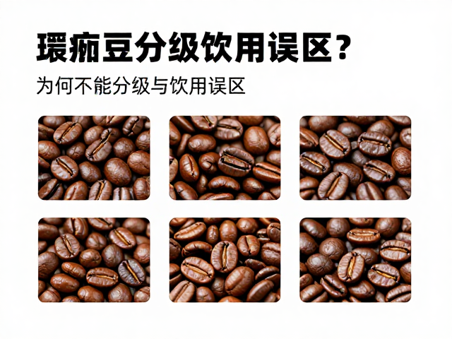 瑕疵豆的分级标准与识别细节