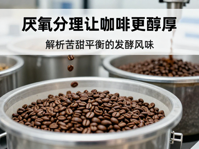 厌氧处理让咖啡更醇厚？解析苦甜平衡的发酵风味