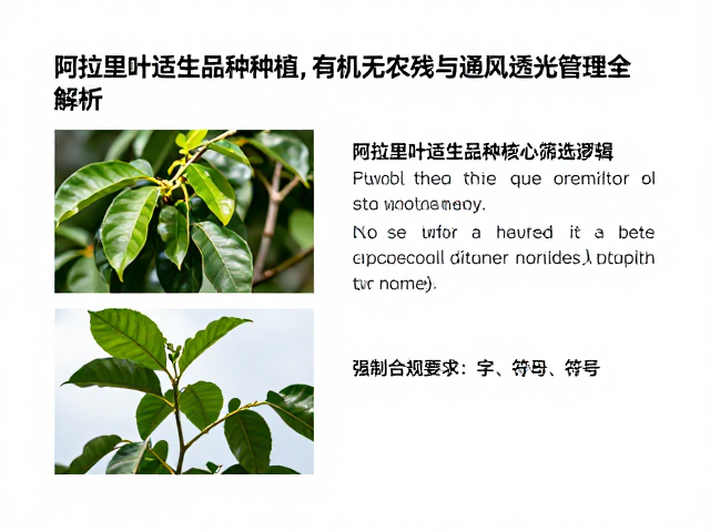 阿拉比卡适生品种的核心筛选逻辑