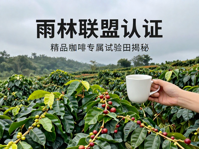 从田间到杯中的品质溯源与价值体现