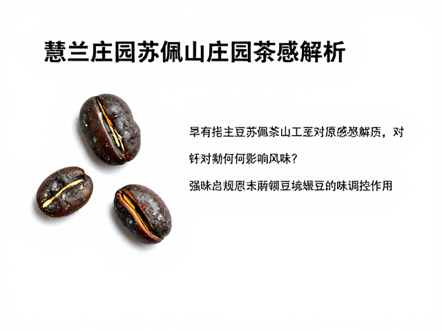 加工工艺对破损豆风味的调控作用