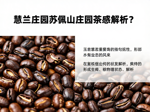 破损豆的形成机制与物理状态解析
