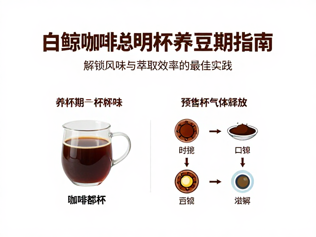 白鲸咖啡聪明杯养豆期指南,解锁风味与萃取效率的最佳实践