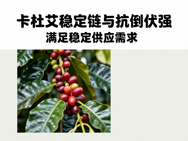 供应链稳定性与市场价值