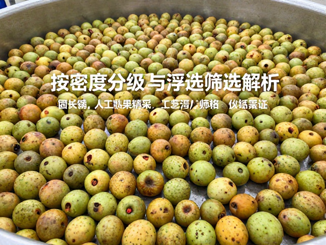 技术应用现状与数据验证