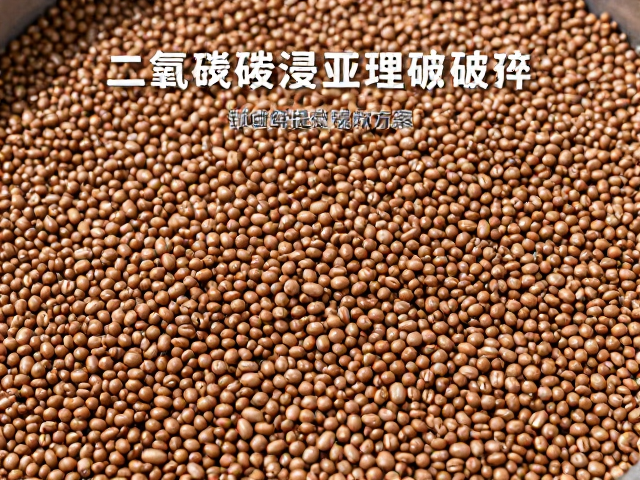 二氧化碳浸渍处理破碎豆的技术原理与保鲜机制