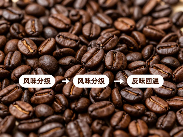 科学储存与风味保持的最佳实践