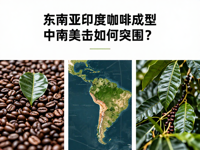 中南美洲新兴产区的差异化竞争策略