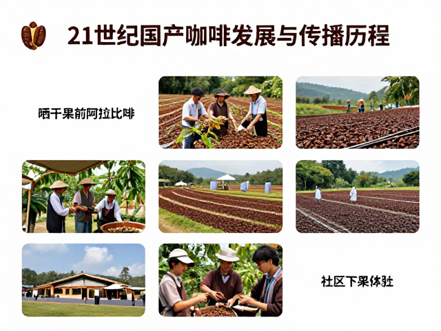产业链下沉与社区化传播的深入