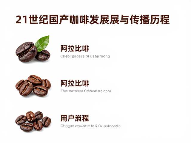 文化符号的构建与国际话语权的试探
