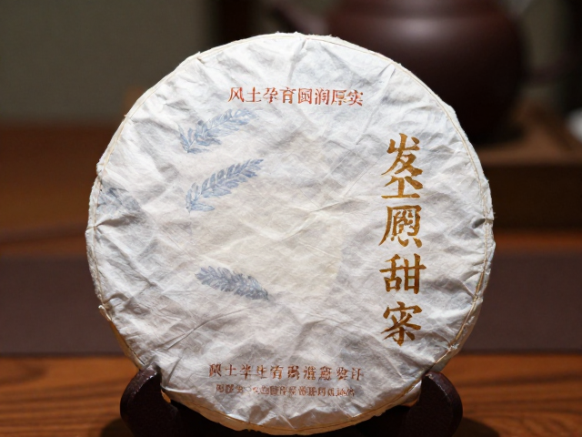 揭秘：工艺与审评的协同效应