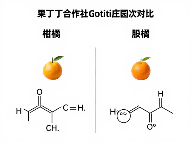 柑橘酸度的感官解析与化学基础