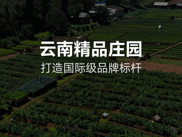 技术赋能小农,构建可持续农业生态体系