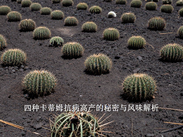 品质稳定性与产区差异化表现