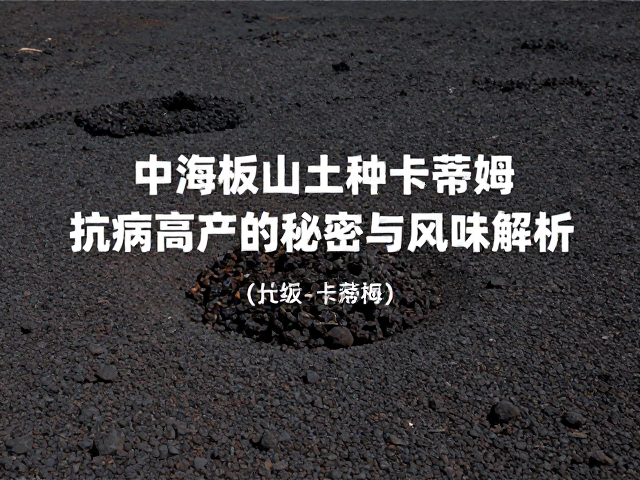 火山土赋予的风味特征与感官解析