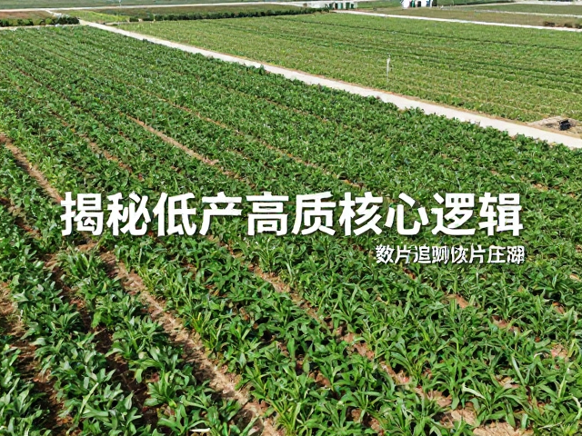 数据验证与可追溯体系的构建