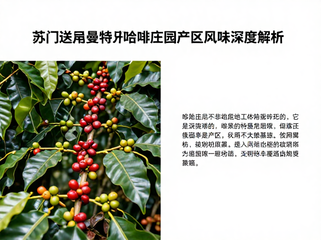 两种咖啡产区的风味化学基础与感官对比